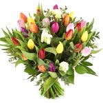 Mix tulpen bestellen en bezorgen