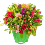 Alstroemeria in gift tas
