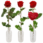 1 of 2 of 3 rode Valentijn rozen in een rozenvaas