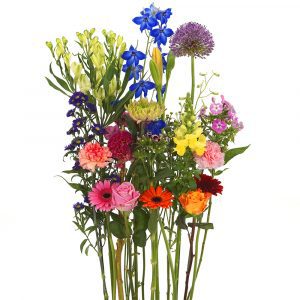 Bonte pluk bloemen om zelf te schikken