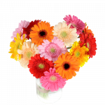 Hart boeket met mixed gerbera's