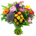 Vrolijke Pappa bloemen