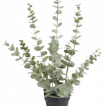 Eucalypthus kunstplant