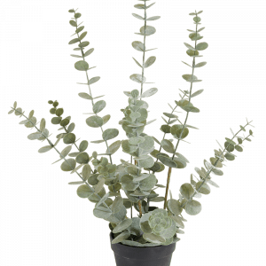 Eucalypthus kunstplant