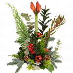 Eén Amaryllis in een kerststuk opgemaakt