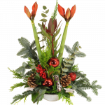 Amaryllis Kerststuk rood met 2 Amaryllissen ca. 60 cm hoog