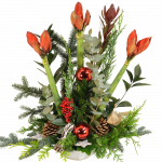 Amaryllis Kerststuk bezorgen